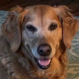 Meet your Posher, Sandy